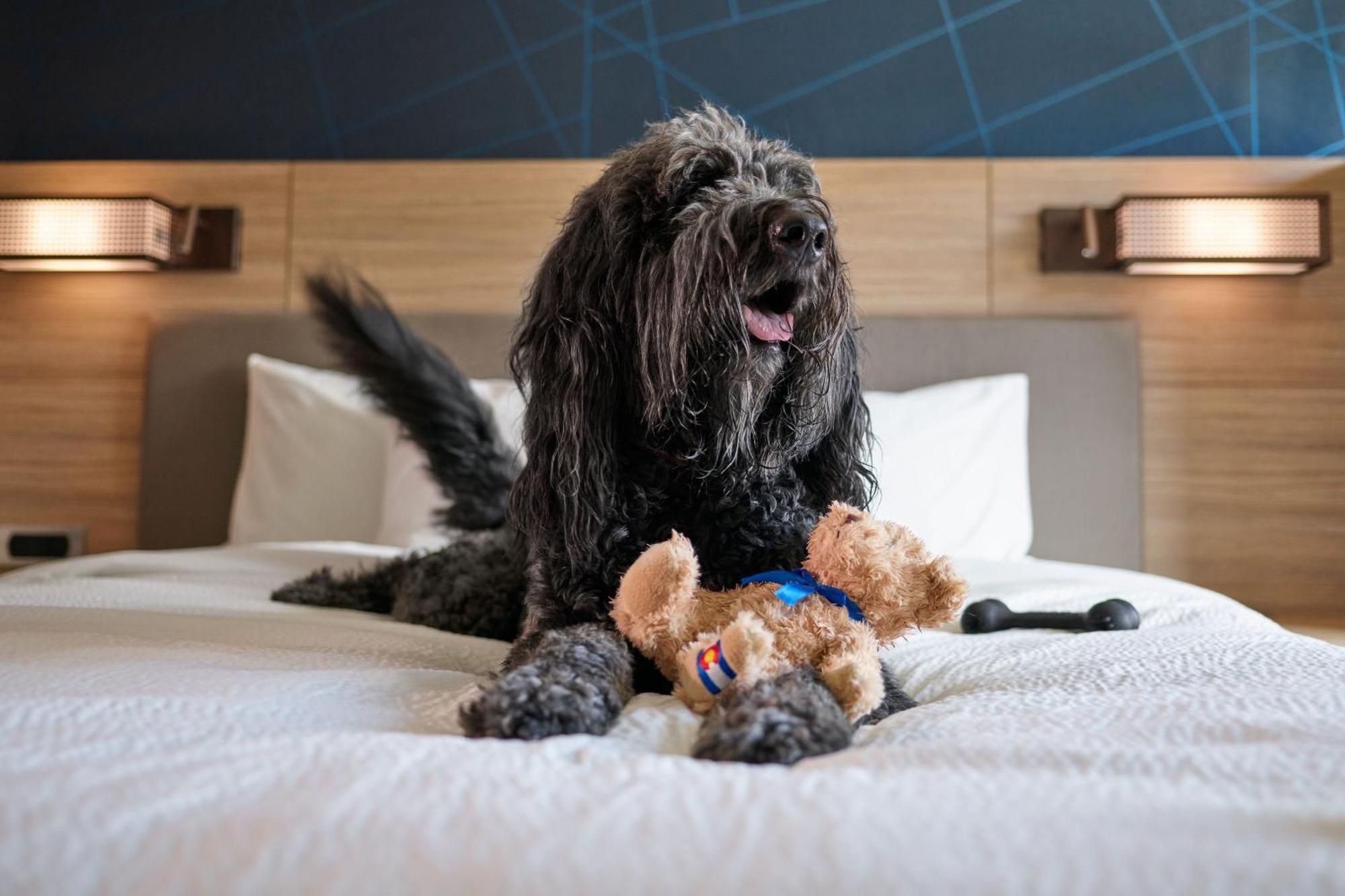 Springhill Suites By Marriott Avon Vail Valley ภายนอก รูปภาพ